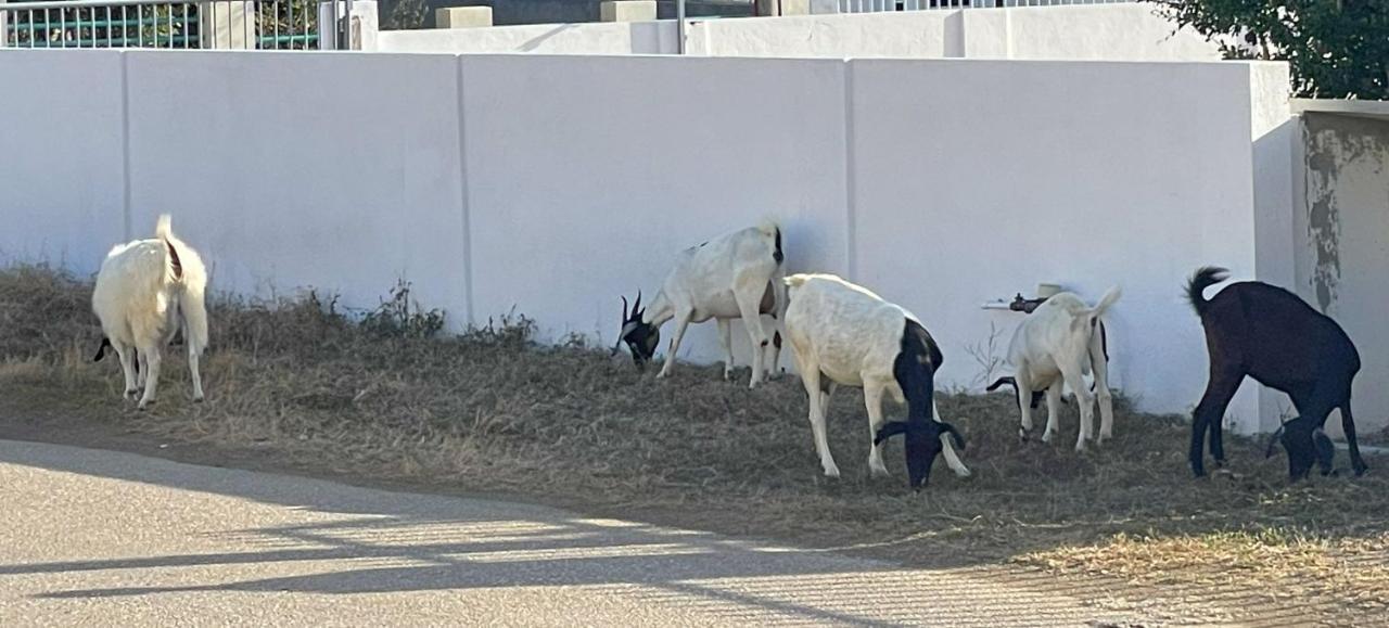 Finisterre Curacao Βίλα Westpunt Εξωτερικό φωτογραφία