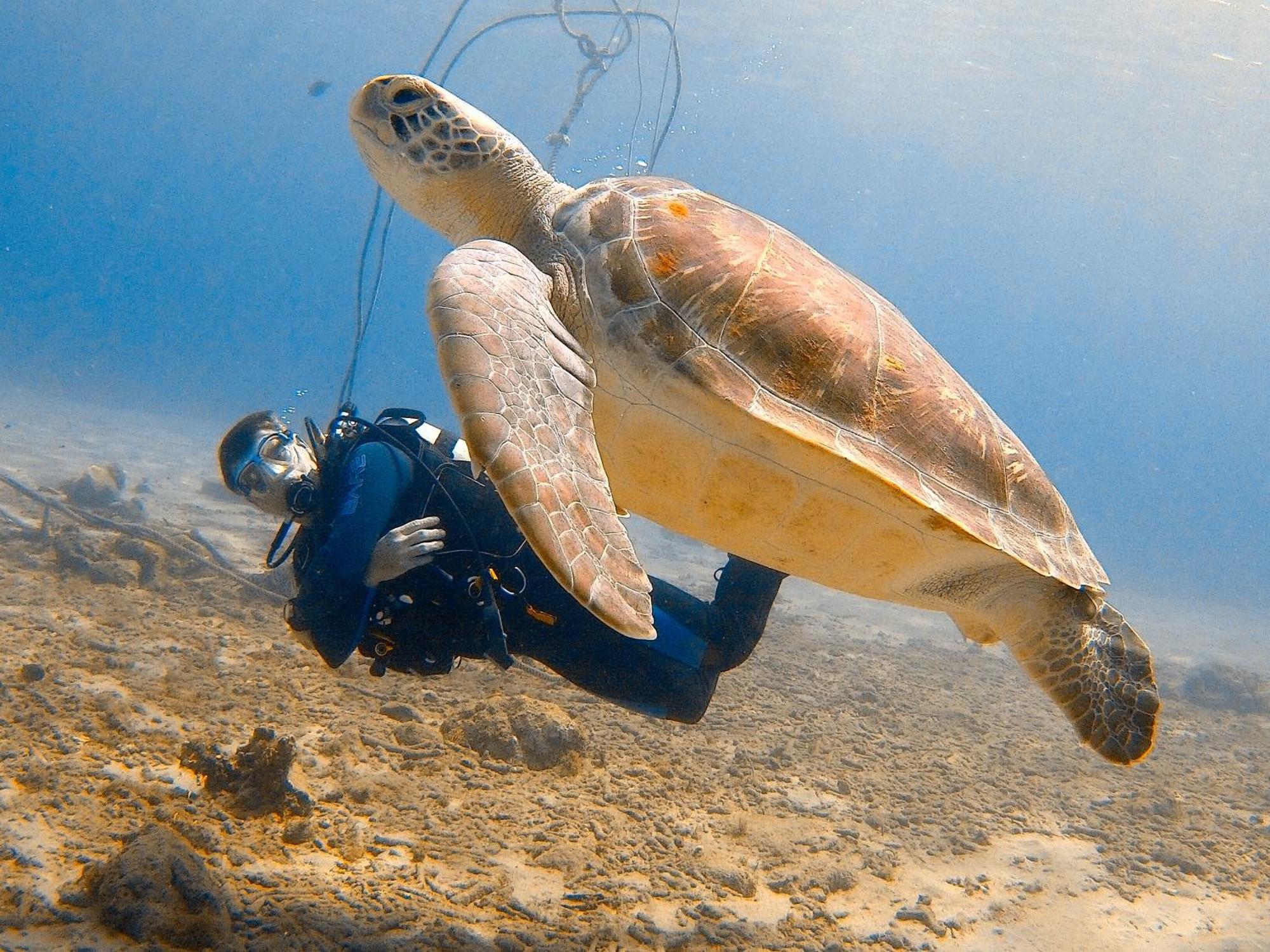 Finisterre Curacao Βίλα Westpunt Εξωτερικό φωτογραφία